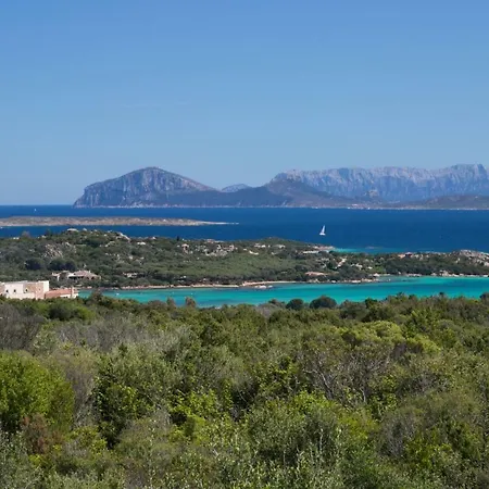 Villa Cloe, Pevero Golf, Moderna, Giardino Privato, Vista Mare, Piscina Comune